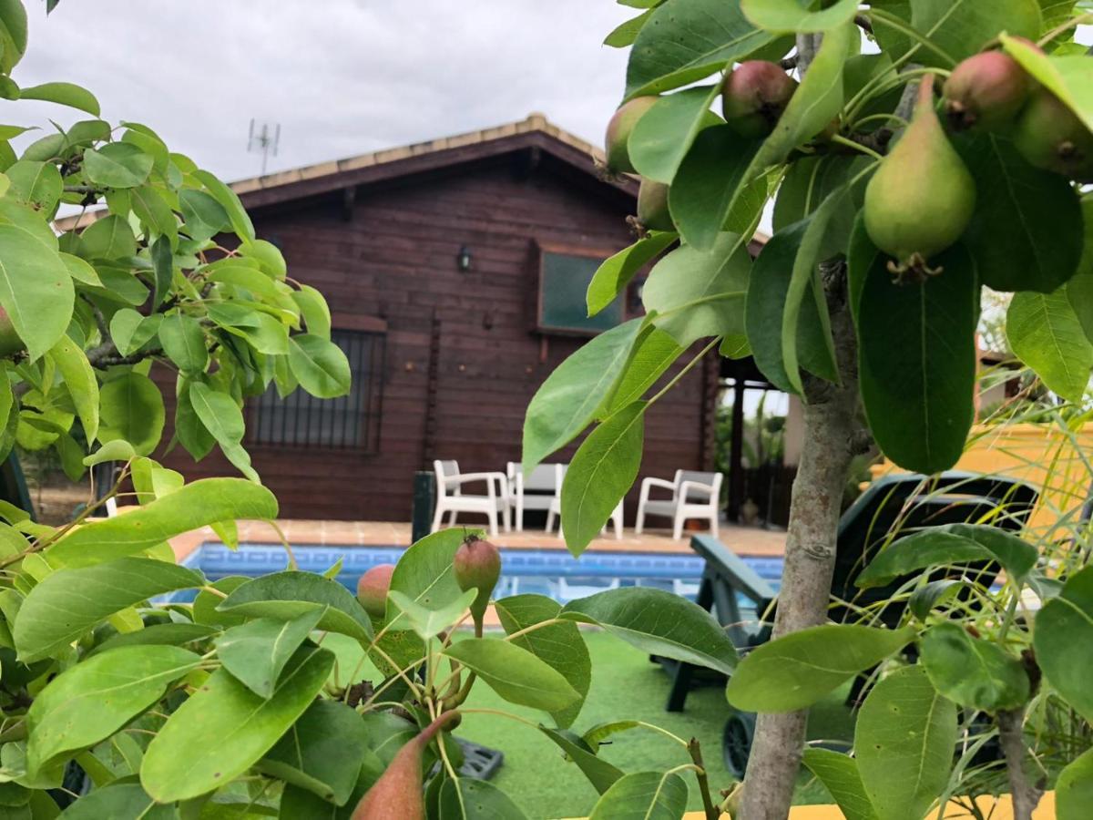 הוילה סביליה Casa De Madera El Oasis El Palomar מראה חיצוני תמונה